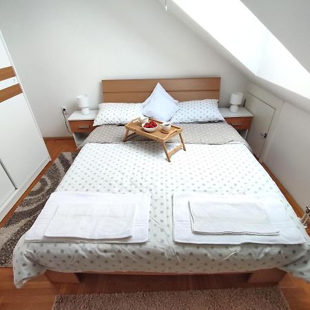Apartman Ns Dan Private Parking Novi Sad Exterior photo