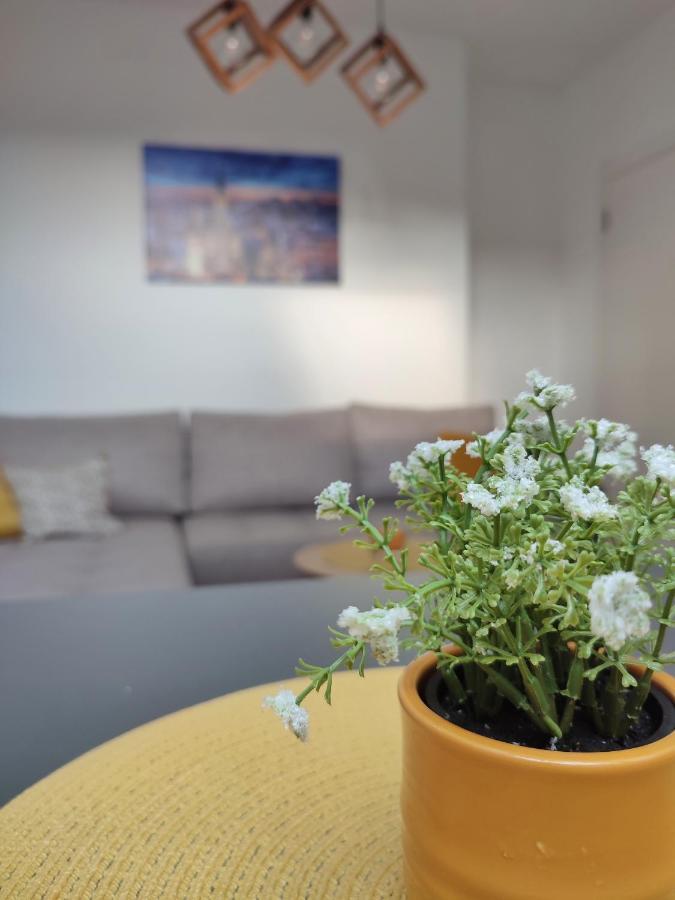 Apartman Ns Dan Private Parking Novi Sad Exterior photo